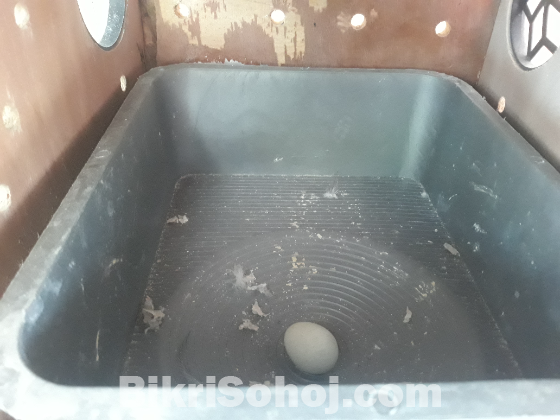 ককাটেল পাখি